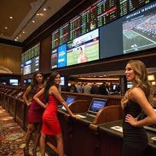 jl991 sports betting interface showing basketball and boxing odds on mobile